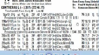 How to read the racing form & how to handicap horse racing Preakness Stakes  Picks Triple Crown
