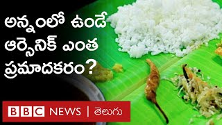 Riceలో ఉండే ఆర్సెనిక్ ఎంత ప్రమాదకరం? అన్నం ఎంత తింటే మంచిది? | BBC Telugu