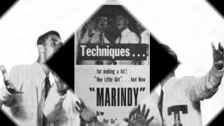 The Techniques- Let Her Go(Marindy).wmv