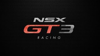 ホンダ、『アキュラNSX GT3』をニューヨークショーで公開