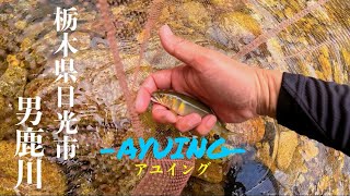 【男鹿川アユイング】魚種多彩！栃木県の秘境〝男鹿川〟