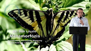 Metamorfózis - Dr. Sóti László