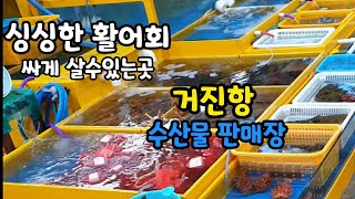 싱싱한 활어회 싸게 살수있는곳.거진항 수산물 판매장