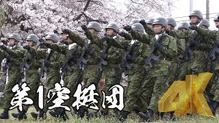 戦闘プロ！陸自最強部隊の入場 第1空挺団創立65周年記念行事