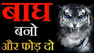 Tiger ki tarah bano Motivetion video | बाघ बनो और फोड़ दो | network marketing Motivetion video #tiger