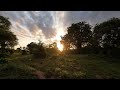 Golden Sunset Bliss: Nature's Finest Hour - A Short Film