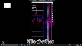 Il NASDAQ lo mangio a colazione 🤣👋 senza porcherie, grafici, disegni,palline colorate  roba varia