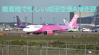 ✈️離着陸で忙しい✈️成田空港A滑走路✈️RJAA✈️成田空港✈️