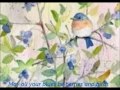 bluebirds attack may 28 2015