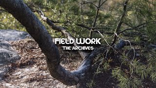 Field Work - The LFF Archives - Large Format Friday