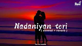 Nadaniyan teri ( slowed + reverb )