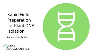 Rapid Field Preparation for Plant DNA Isolation