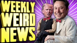 Elon Musk is Running the US Government - Weekly Weird News