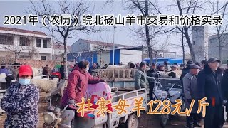 3月2号皖北羊市，绵羊多山羊少，成交少两只杜寒串母羊12.8元1斤