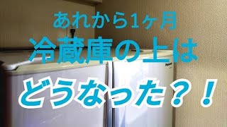 掃除【おうちの美化委員】『冷蔵庫を福(拭く)』 冷蔵庫の上　前回は恐ろしいほどのホコリ　あれから一ヶ月　いったいどうなってるでしょう