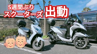 トリシティ\u0026スウッシュ出動