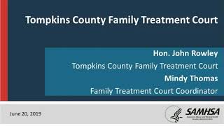 Best Practices in Family Treatment Drug Courts