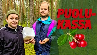 Puolukassa | Korroosio