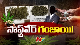 Gachibowli లో కలకలం రేపుతున్న విదేశీ గంజాయి | Special Report | Ntv