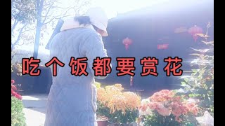 【回归农村田园生活】在院子里种菜养花，洗手做家乡菜 享受宁静生活，需要的是随遇而安的勇气