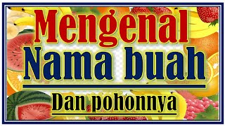 MENGENAL NAMA BUAH dan pohonnya