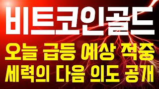 [비트코인골드 코인]🔴오늘 급등 예상 적중, 세력의 다음 의도 공개