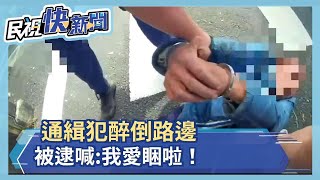 通緝犯醉倒路邊 被逮喊:我愛睏啦！－民視新聞