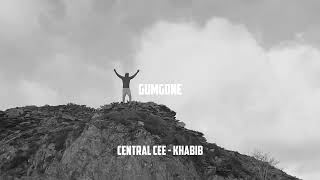 Central Cee - Khabib remix\mashup by gumgone