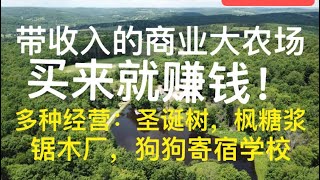 五指湖旅游区附近的带10万利润，10个池塘，多种经营的大农场：买来就赚钱！