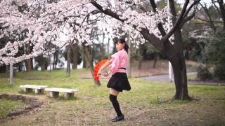 【足太ぺんた】千本桜　踊ってみた【桜の下で】 HD