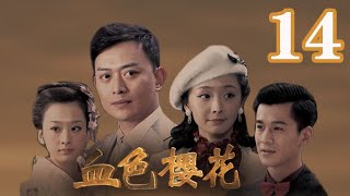 血色櫻花 第14集（黃海冰、喬振宇、李曼、穆婷婷等主演）