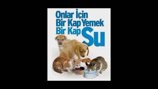 iyi dinleyin 🐱🐶🐜🐦