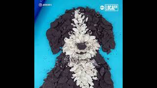 Artist turns everyday objects into works of art