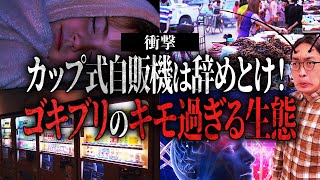 【衝撃】あそこにはゴキブリが大量発生している！？キモ過ぎるゴキブリの生態とは【都市伝説】