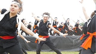 [4K]名古屋学生チーム『鯱』　2016犬山踊芸祭 石作公園メイン会場 1日目