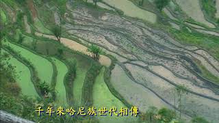 中國雲南這美麗的陡坡梯田是古人修建的嗎Are these beautiful steep slope terraces built by ancient people in Yunnan, China