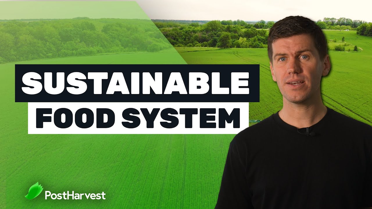 4 Ways To Build A More Sustainable Food System - YouTube