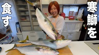 釣った寒鰤を熟成させて食べたら！！