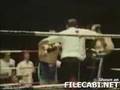 lenny mclean vs roy shaw