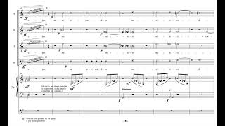 Gian Paolo Luppi - Laudate Dominumorg for Choir and Organ (2003) [Score-Video]