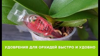 УДОБРЕНИЯ ДЛЯ ОРХИДЕЙ | БЫСТРО И УДОБНО