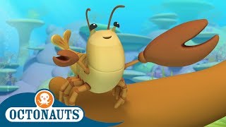 #StayHome Octonauts - The Snapper Shrimp | Full Episodes | Cartoons for Kids