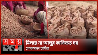 আলুর বাম্পার ফলন হলেও পূরণ হয়নি লক্ষ্যমাত্রা | Rajshahi News | Bumper Potato Yield | Somoy TV