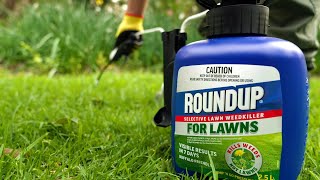 The Garden Gurus - Stop those Pesky weeds! Roundup for Lawns