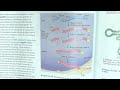 exons and introns explained