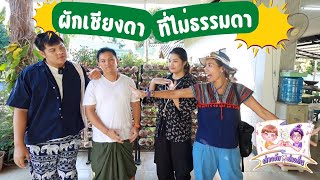 EP 68 มารู้จักผักเชียงดาที่ไม่ธรรมดากัลลลล