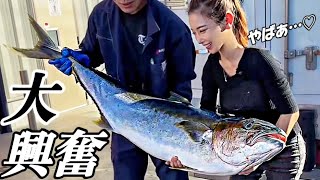 【珍魚に興奮】全国市場・漁港めぐりの旅。とんでもない量の魚が水揚げされる町・館山にやってきた！～千葉編２/２～【魚屋の森さん】