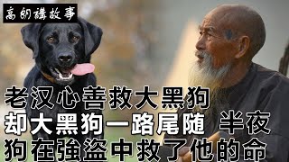 民间故事：男人心善救大黑狗，却大黑狗一路尾随，半夜狗在強盜中救了他的命｜高朗講故事