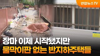 장마 이제 시작됐지만…물막이판 없는 반지하주택들 / 연합뉴스TV (YonhapnewsTV)