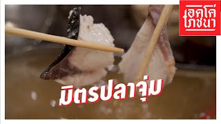 มิตรปลาจุ่ม | เอคโค่โภชนา